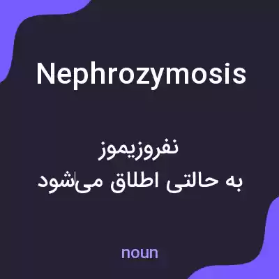 معنی nephrozymosis به فارسی معنی nephrozymosis به فارسی