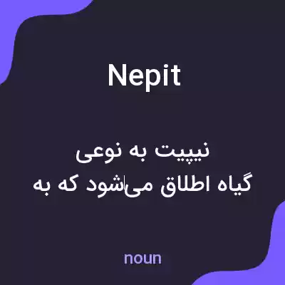 معنی nepit به فارسی