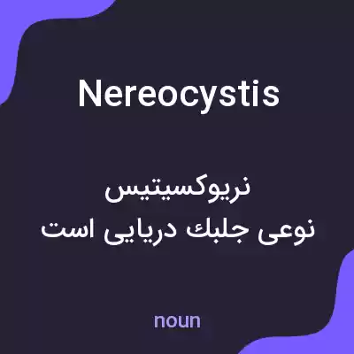 معنی nereocystis به فارسی معنی nereocystis به فارسی