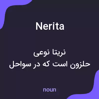 معنی nerita به فارسی معنی nerita به فارسی