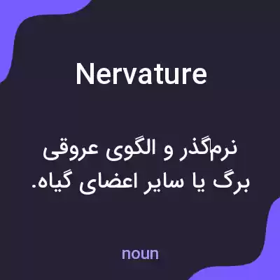 معنی nervature به فارسی معنی nervature به فارسی