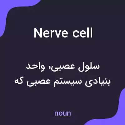 معنی nerve cell به فارسی معنی nerve cell به فارسی