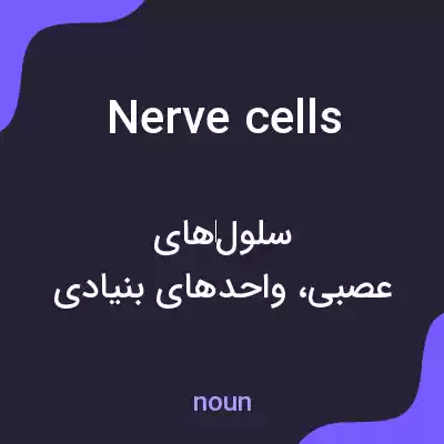 معنی nerve cells به فارسی معنی nerve cells به فارسی