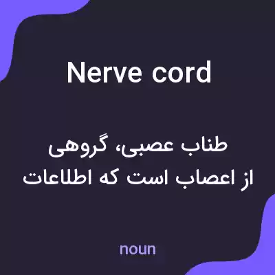 معنی nerve cord به فارسی معنی nerve cord به فارسی