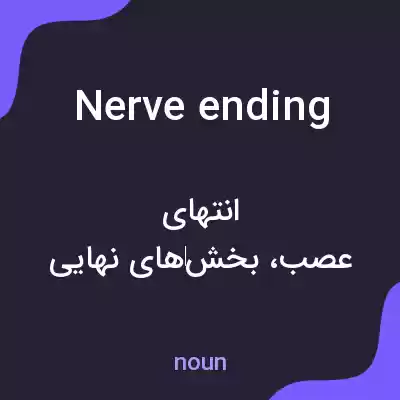 معنی nerve ending به فارسی معنی nerve ending به فارسی