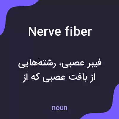معنی nerve fiber به فارسی معنی nerve fiber به فارسی