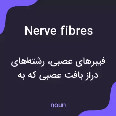 معنی nerve fibres به فارسی معنی nerve fibres به فارسی