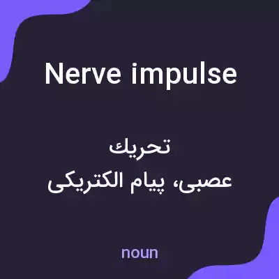 معنی nerve impulse به فارسی معنی nerve impulse به فارسی