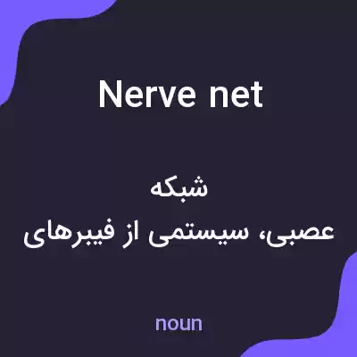 معنی nerve net به فارسی
