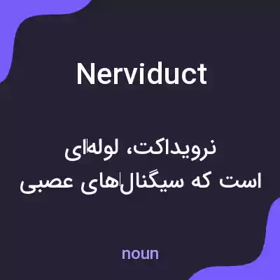 معنی nerviduct به فارسی معنی nerviduct به فارسی