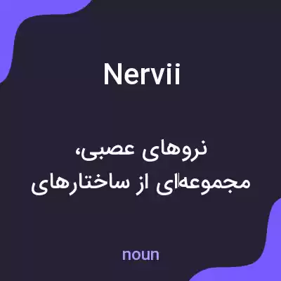 معنی nervii به فارسی معنی nervii به فارسی
