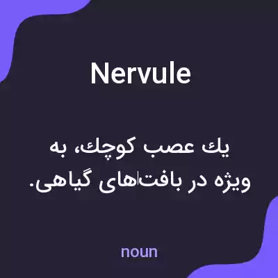 معنی nervule به فارسی معنی nervule به فارسی