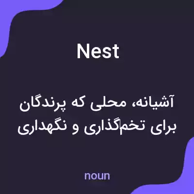 معنی nest به فارسی معنی nest به فارسی
