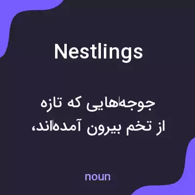 معنی nestlings به فارسی