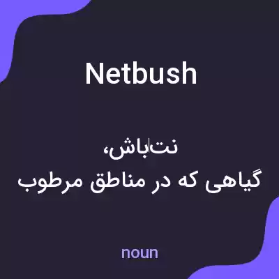 معنی netbush به فارسی