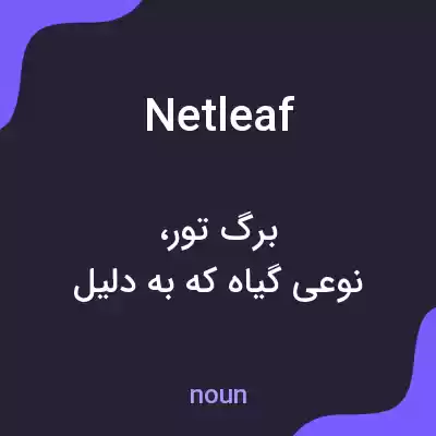 معنی netleaf به فارسی معنی netleaf به فارسی