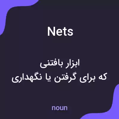 معنی nets به فارسی معنی nets به فارسی