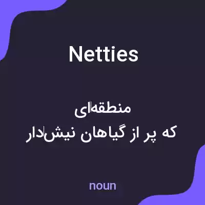 معنی netties به فارسی