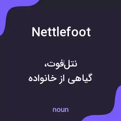 معنی nettlefoot به فارسی معنی nettlefoot به فارسی