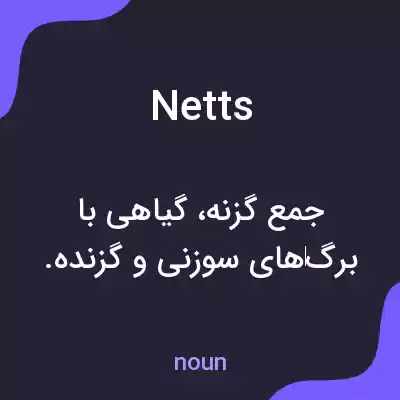 معنی netts به فارسی معنی netts به فارسی