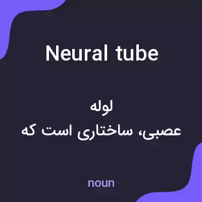معنی neural tube به فارسی معنی neural tube به فارسی