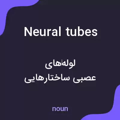 معنی neural tubes به فارسی معنی neural tubes به فارسی