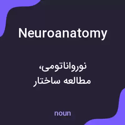 معنی neuroanatomy به فارسی معنی neuroanatomy به فارسی