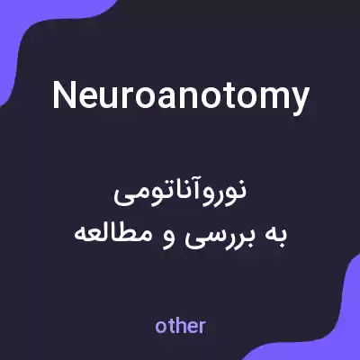معنی neuroanotomy به فارسی معنی neuroanotomy به فارسی