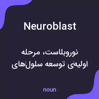 معنی neuroblast به فارسی معنی neuroblast به فارسی