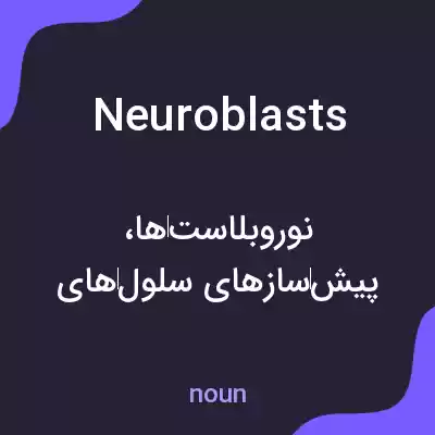 معنی neuroblasts به فارسی معنی neuroblasts به فارسی