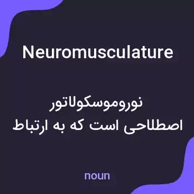 معنی neuromusculature به فارسی معنی neuromusculature به فارسی