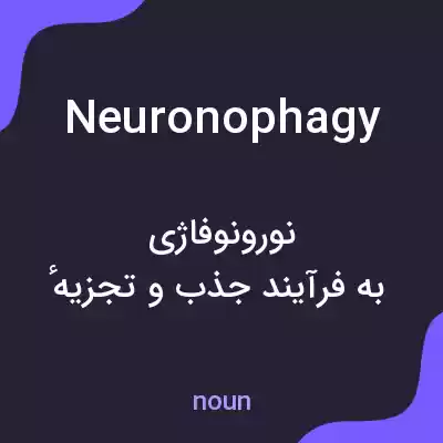معنی neuronophagy به فارسی معنی neuronophagy به فارسی