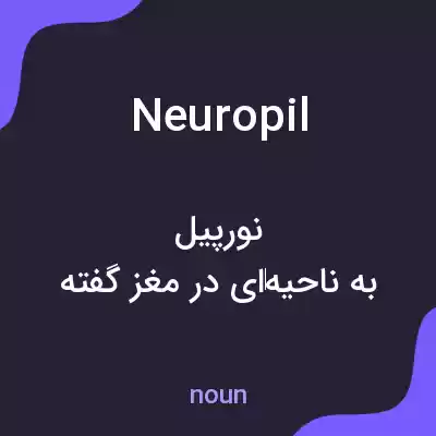 معنی neuropil به فارسی معنی neuropil به فارسی