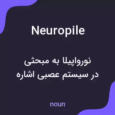 معنی neuropile به فارسی معنی neuropile به فارسی
