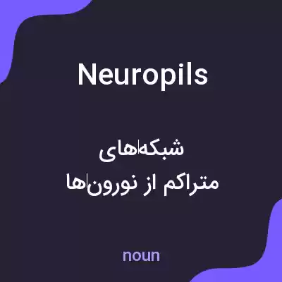معنی neuropils به فارسی معنی neuropils به فارسی