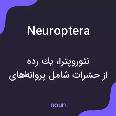 معنی neuroptera به فارسی معنی neuroptera به فارسی