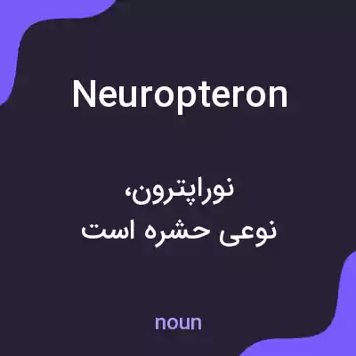 معنی neuropteron به فارسی معنی neuropteron به فارسی