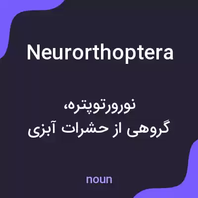 معنی neurorthoptera به فارسی معنی neurorthoptera به فارسی