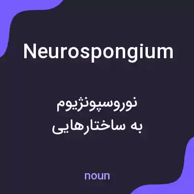 معنی neurospongium به فارسی معنی neurospongium به فارسی