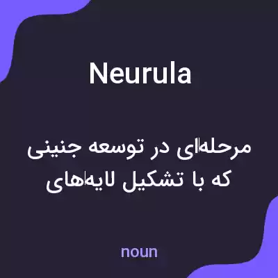 معنی neurula به فارسی معنی neurula به فارسی