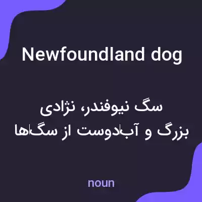 معنی newfoundland dog به فارسی معنی newfoundland dog به فارسی
