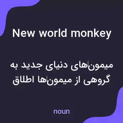 معنی new world monkey به فارسی معنی new world monkey به فارسی