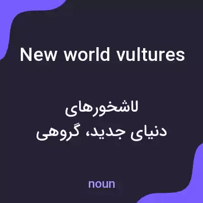 معنی new world vultures به فارسی معنی new world vultures به فارسی