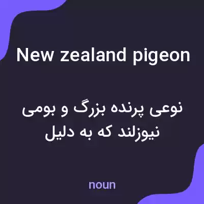 معنی new zealand pigeon به فارسی معنی new zealand pigeon به فارسی