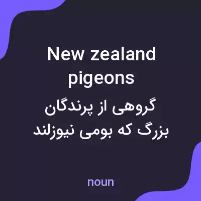 معنی new zealand pigeons به فارسی معنی new zealand pigeons به فارسی