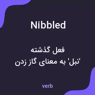 معنی nibbled به فارسی معنی nibbled به فارسی