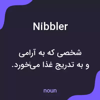 معنی nibbler به فارسی معنی nibbler به فارسی