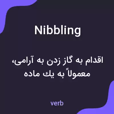 معنی nibbling به فارسی معنی nibbling به فارسی
