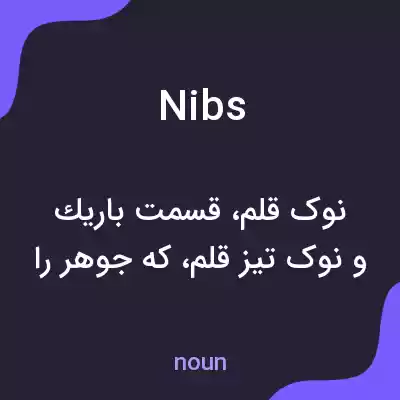 معنی nibs به فارسی