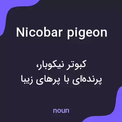 معنی nicobar pigeon به فارسی معنی nicobar pigeon به فارسی